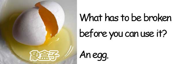 broken egg 蛋