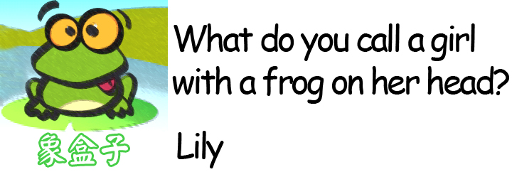 lily pad 睡蓮的漂浮葉 百合花 Lily 莉莉