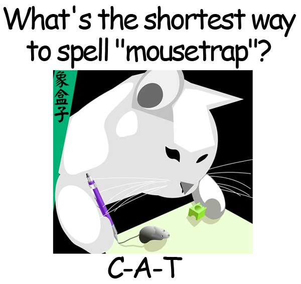 cat mousetrap