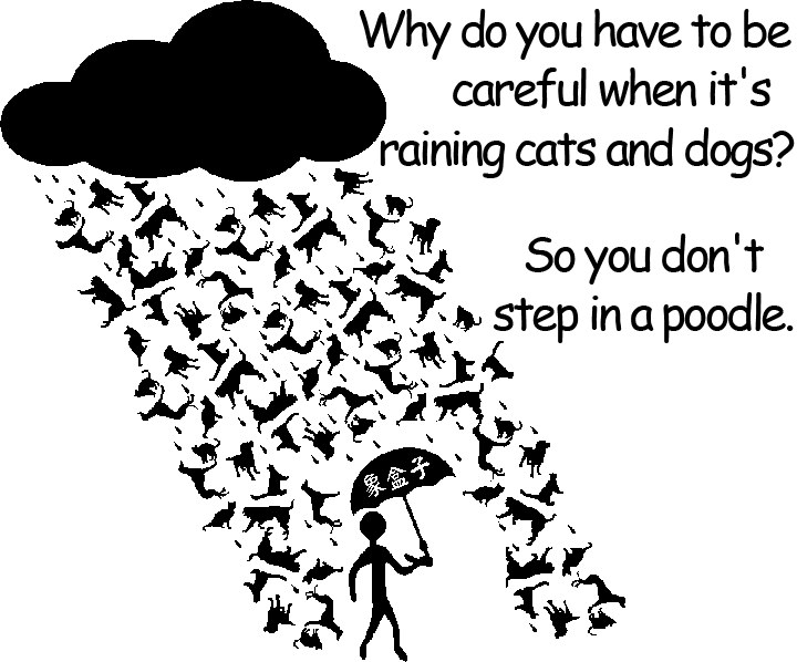 raining cats dogs 傾盆大雨 貓狗大雨