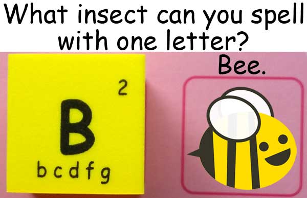 b bee 蜜蜂 