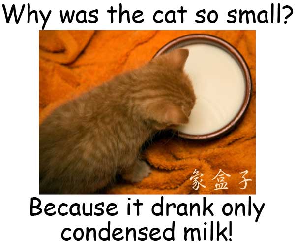 condensed milk 煉乳 condense 壓縮 濃縮
