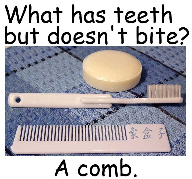 comb 梳子 teeth 齒