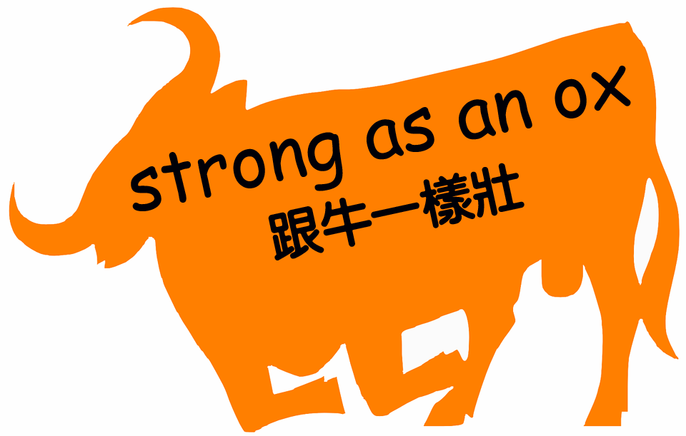 strong as an ox 跟牛一樣壯