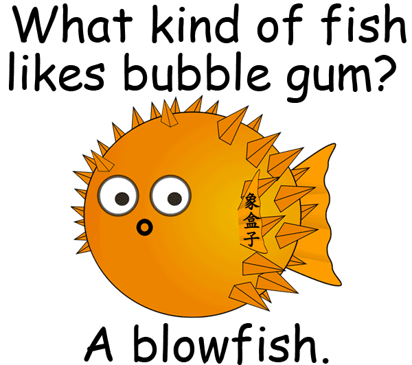blow fish blowfish fugu 河豚 puffer fish