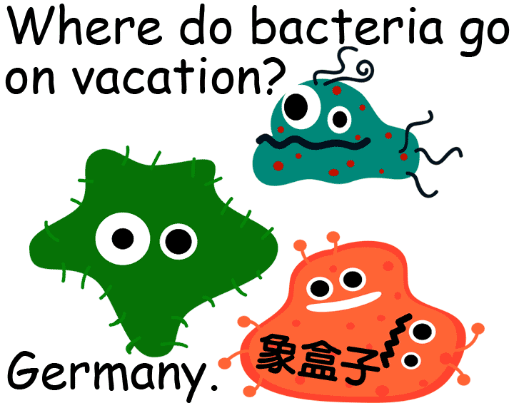 bacteria 細菌