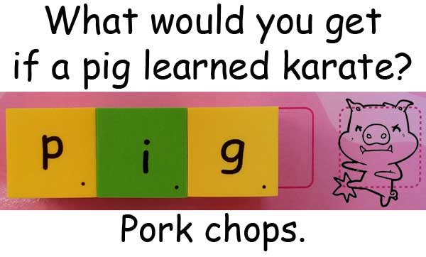 pig 豬 karate 空手道 pork chop 豬排