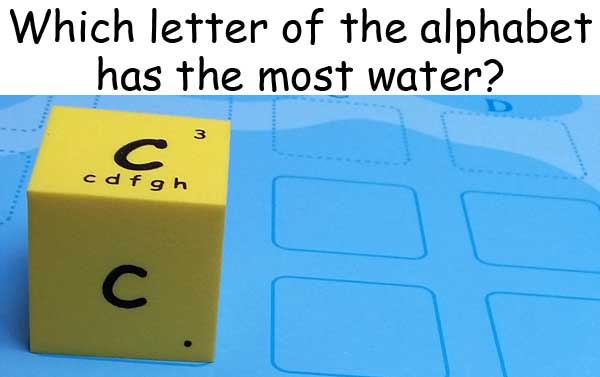 英文字母 English alphabet  c sea 海