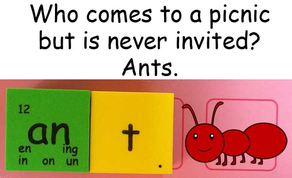 ant 螞蟻 